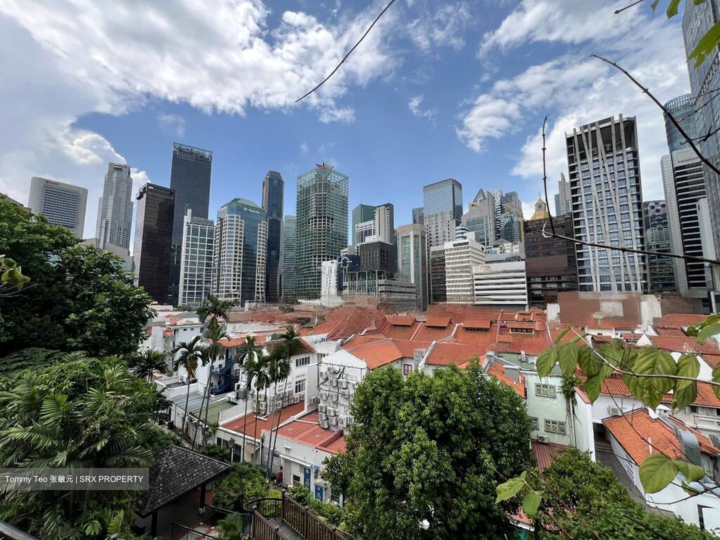 Telok Ayer Conservation Area (D1), Shop House #480149981